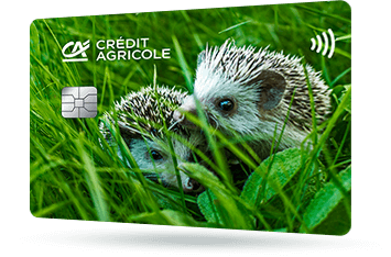 ID: CA275 – Karta Credit Agricole z safari - lew król sawanny