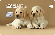 ID: CA266 – Karta Credit Agricole z grafiką dwóch małych labradorów