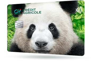 ID: CA278 – Karta Credit Agricole z safari - hipopotam w wodzie