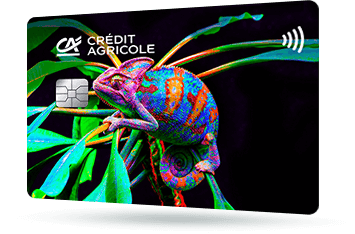 ID: CA276 – Karta Credit Agricole z safari - zebra w afrykańskim krajobrazie