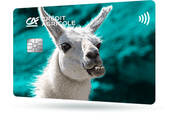 ID: CA279 – Karta Credit Agricole z safari - lampart w naturalnym środowisku