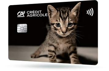 CA271 – Karta Credit Agricole z grafiką małego kota w prążki