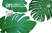 ID: CA263 – Karta Credit Agricole z liśćmi monstery
