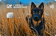 ID: CA264 – Karta Credit Agricole z grafiką owczarka niemieckiego w zbożu
