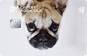 ID: CA268 – Karta Credit Agricole z grafiką buldoga francuskiego patrzącego do góry
