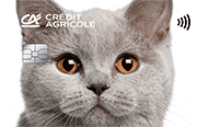 ID: CA272 – Karta Credit Agricole z grafiką głowy szarego kota brytyjskiego