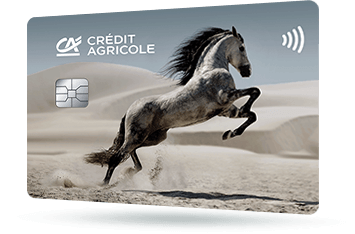 ID: CA274 – Karta Credit Agricole z safari - słoń afrykański w sawannie