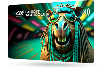 ID: CA333 – Karta Credit Agricole z naturalnym motywem kamieni