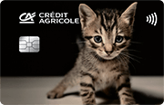 ID: CA271 – Karta Credit Agricole z grafiką małego kota w prążki