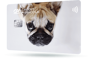 ID: CA268 – Karta Credit Agricole z safari - żyrafa w afrykańskim słońcu